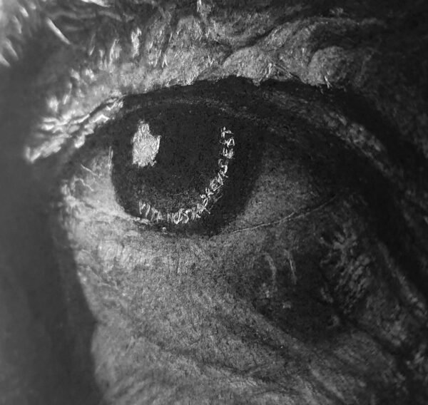 Vita-nostra-brevis-est_detail