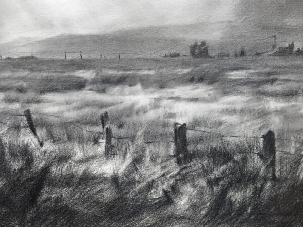 Tormenta-en-el-Valle-de-La-Vera_Detalle1