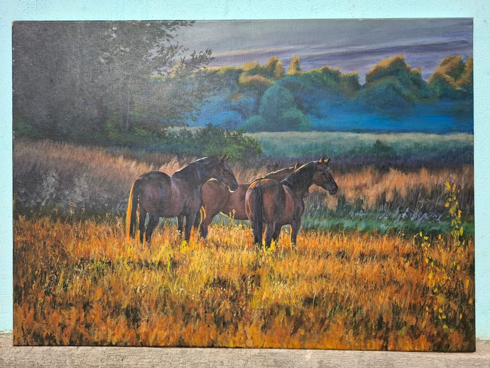 IMG-20250228-WA0006-2