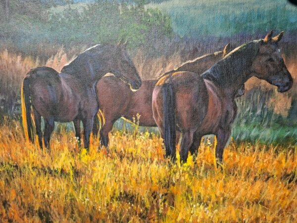 IMG-20250228-WA0007-2