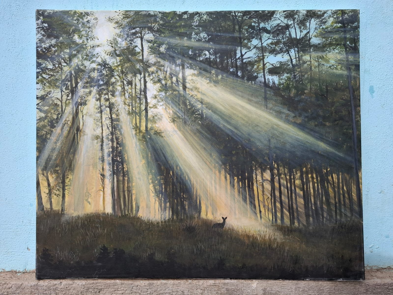 IMG-20250228-WA0009-1