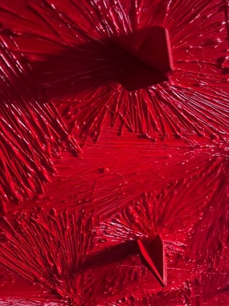 red-spines-dettails-1