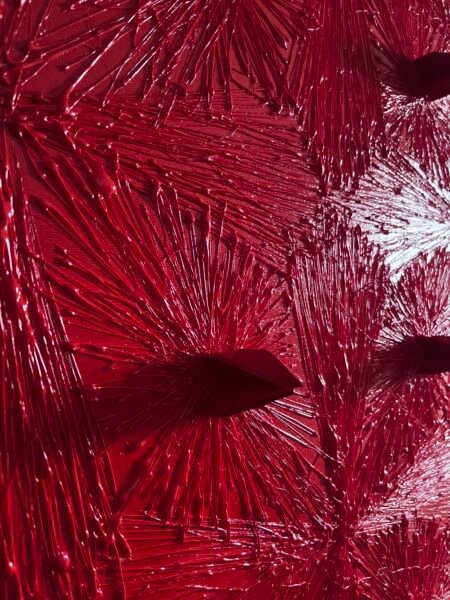 red-spines-dettails-2