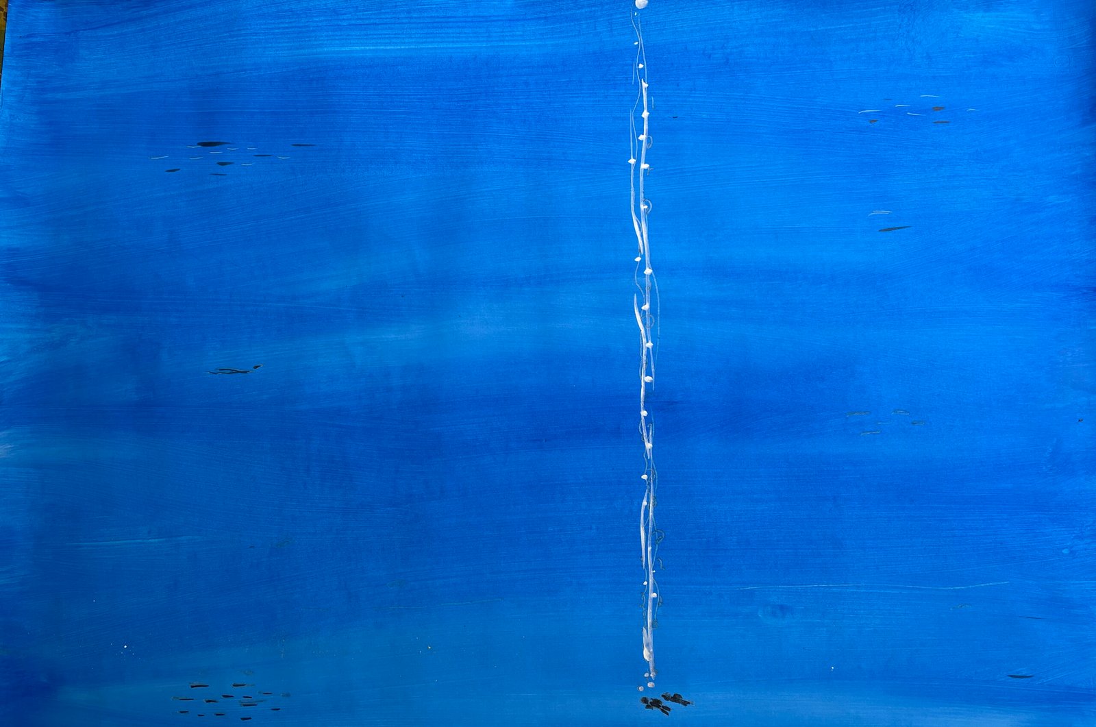 en-el-fondo-del-mar-1