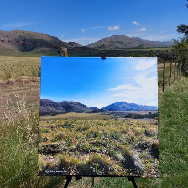 Obra-en-el-entorno-natural-Asmussen-Silvana-Valeria