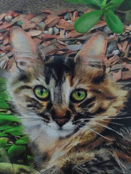 IMG_20250205_1102502402