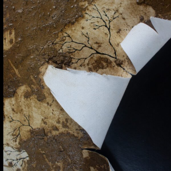 inbound4071920484388822740