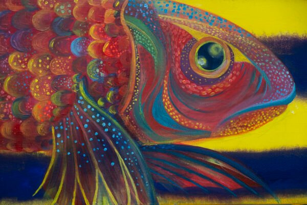 dreamcatcher-fish-p4-copy