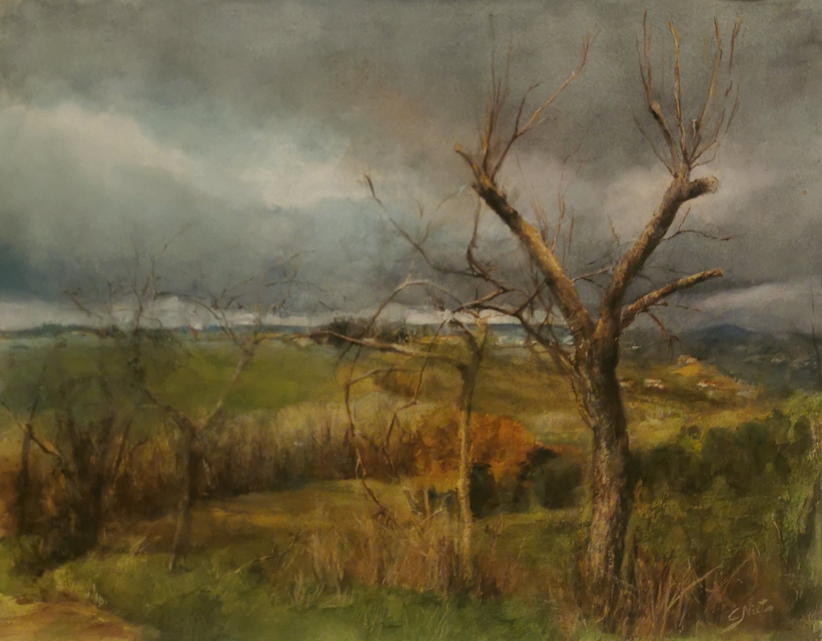 IMG_20240810_104456_edit_15672115976254