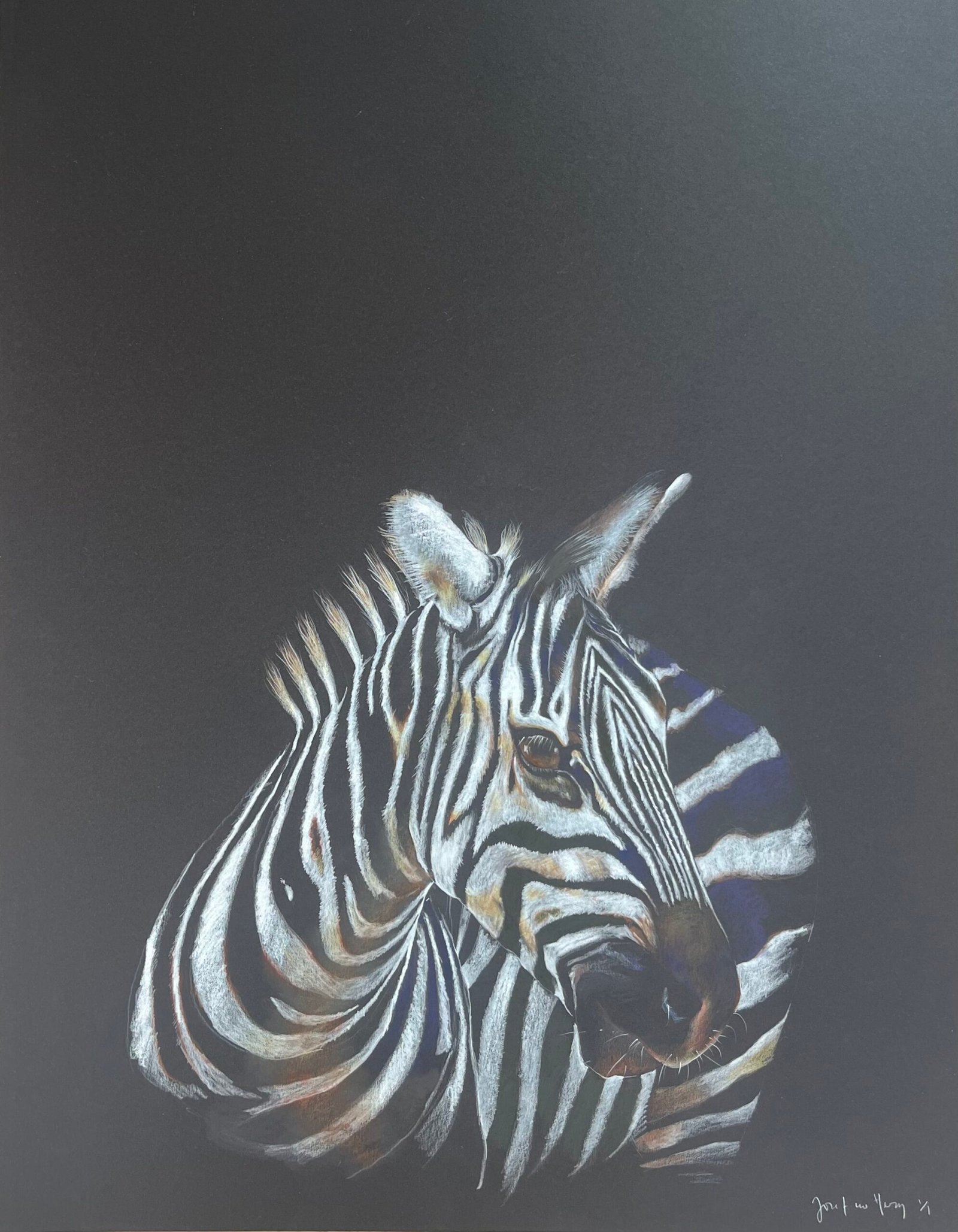 Herzovich_5_1_Duality