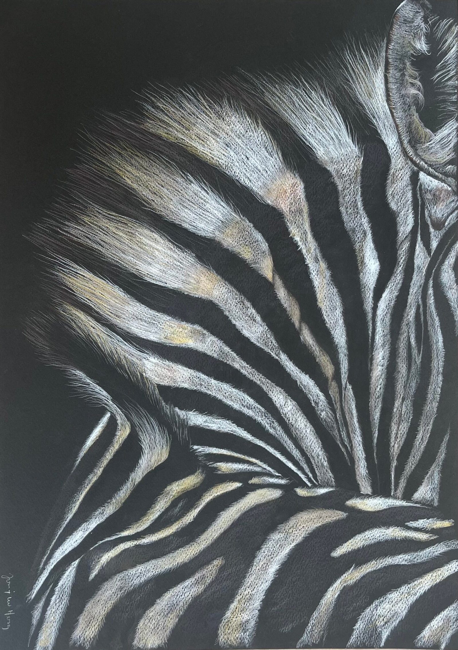 Herzovich_6_1_Perspective