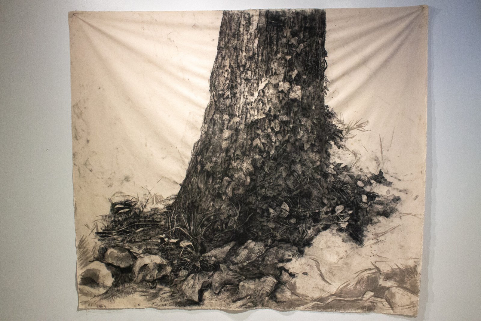 Stephan_Trunk-med-res