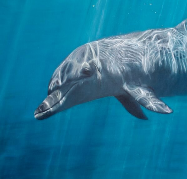 Golden-Ocean-Reflection-Dolphin-Detail-70x70cm-Oil-and-24ct-of-goldleaf-on-aluminium-panel-Alexandra-Telgmann