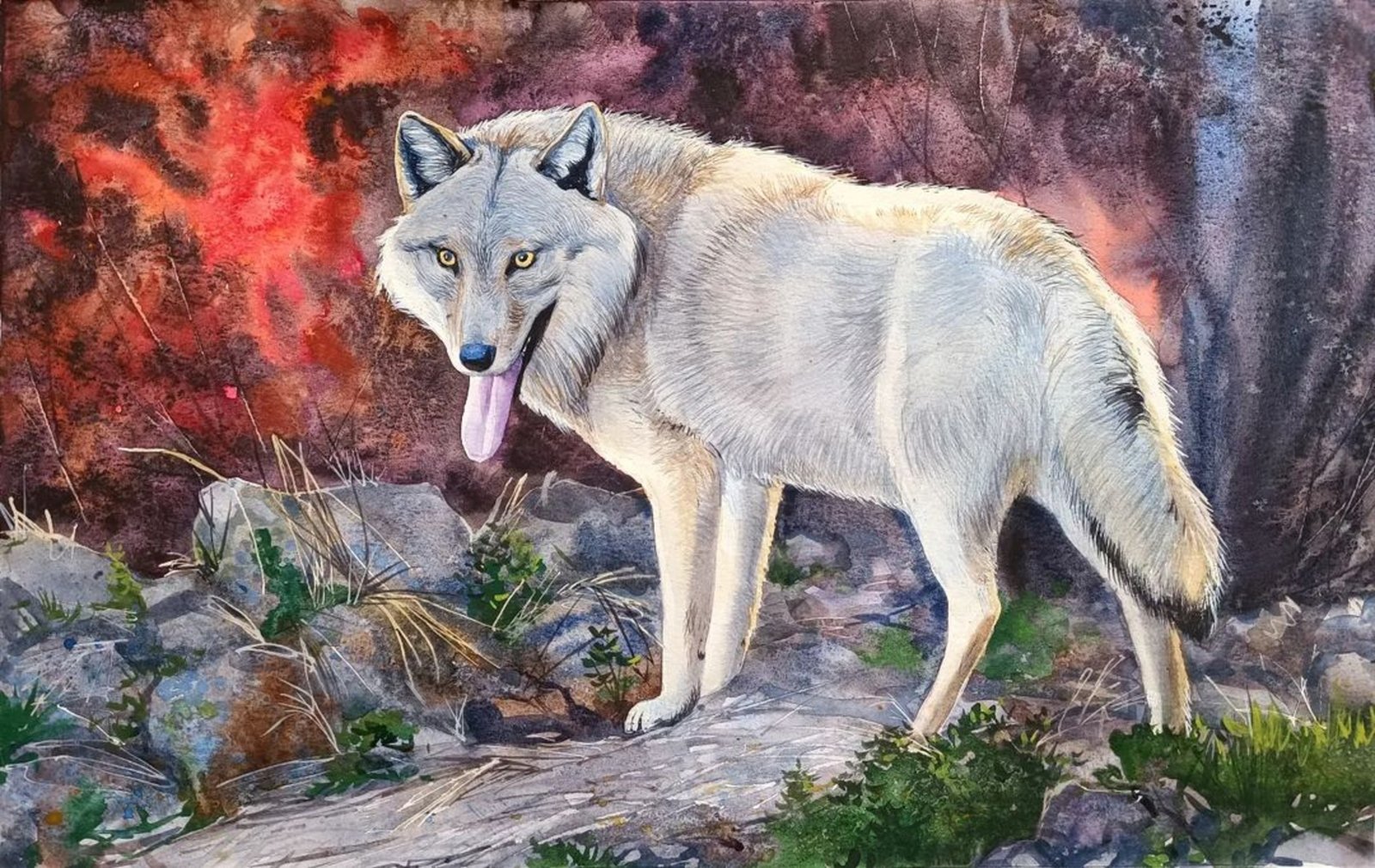 inbound1066421829645956222