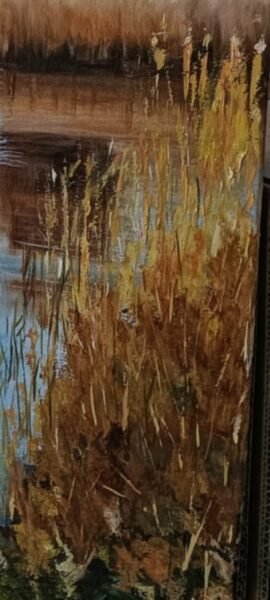 Screenshot_2025-02-13-20-50-57-41_6012fa4d4ddec268fc5c7112cbb265e7