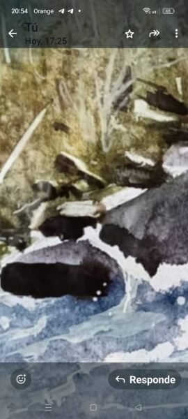 Screenshot_2025-02-13-20-54-16-44_6012fa4d4ddec268fc5c7112cbb265e7