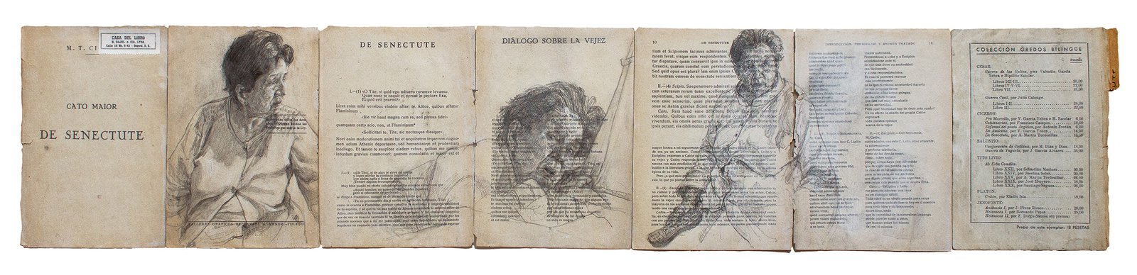 Drawing-On-Old-Age-by-Luisa-Beltran