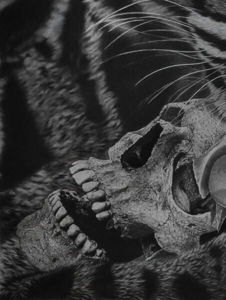 IMG_20240606_083314_1