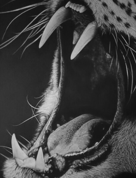 IMG_20241003_194734cc