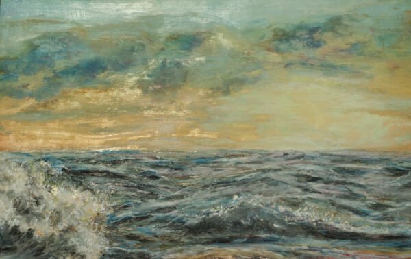 tortuga-marina-detalle-1