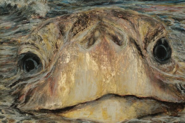 tortuga-marina-detalle-2