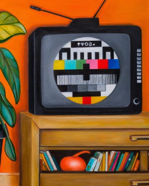 L-arret-du-programme-detail-TV-Sofigael-M-2025