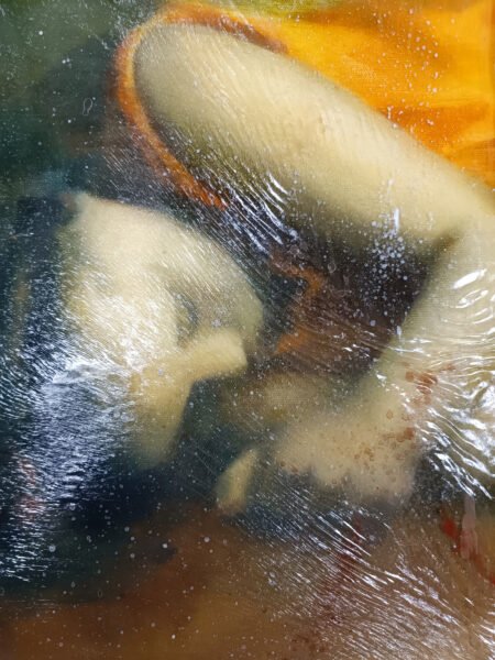 ALICIA-A-TRAVES-DE-LA-CORTINA-3